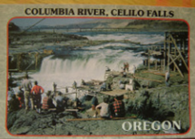 Moved into grandparents house