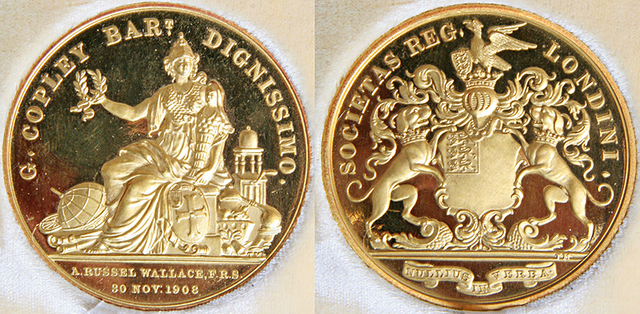 Awarded Royal Society Copley Medal