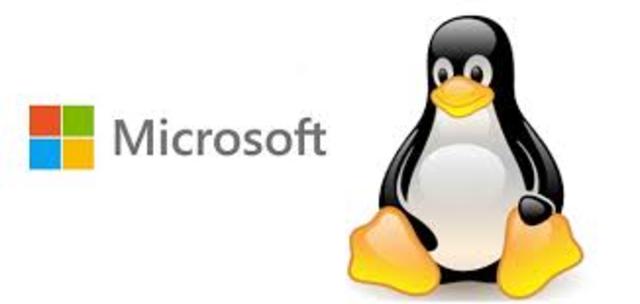 Microsoft sistema operativo