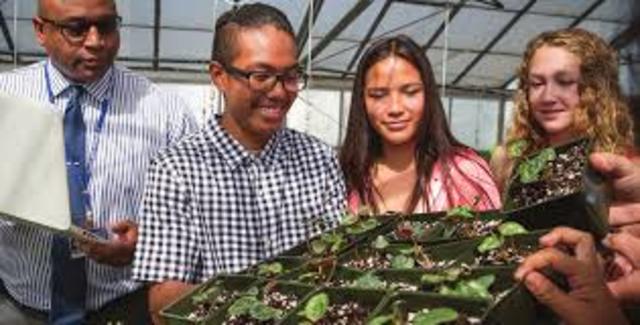 FFA gets federal charter