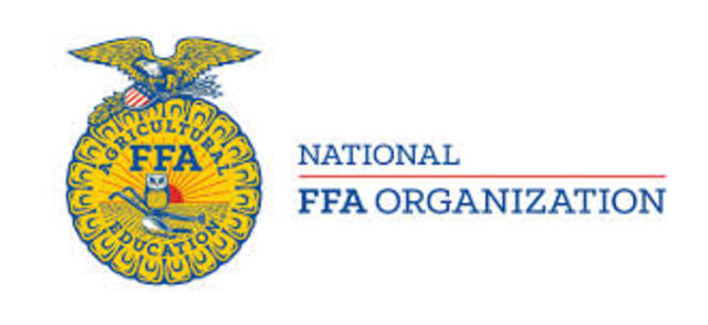 The FFA National Organization