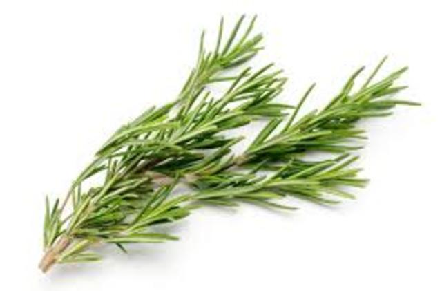 Rosemary