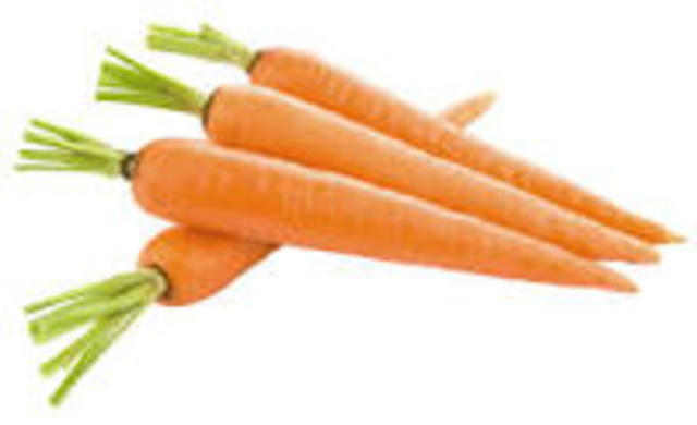 harvest date for carrot