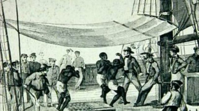 Des colonies en croissance.