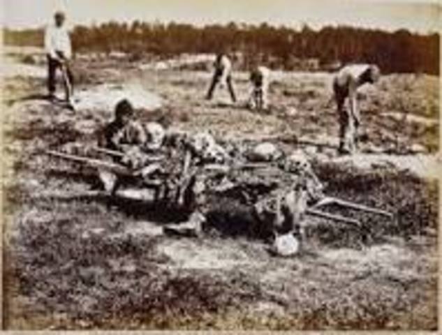 Battle at Cold Harbor