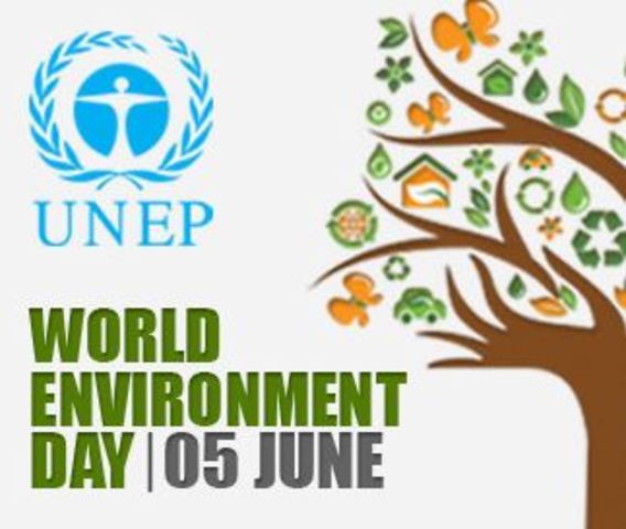 Día internacional del medio ambiente