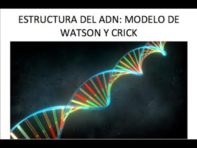 molecula de ADN