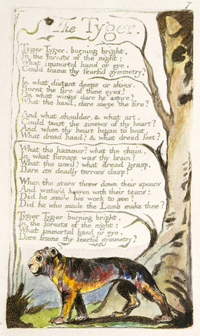 The Tyger - William Blake