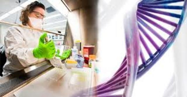 Se publica el Reglamento de la Ley de Bioseguridad de Organismos Genéticamente Modificados.