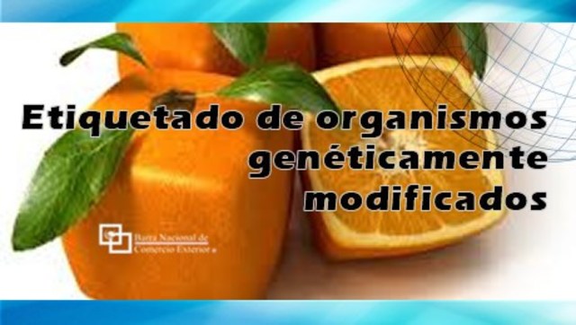 Se realizan reformas al Reglamento de la Ley de Bioseguridad de Organismos Genéticamente Modificados