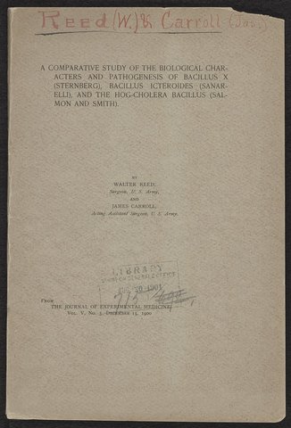 Bacillus Icteroides investigation