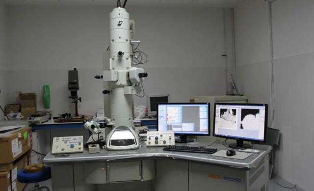 Microscopio Electrónico.