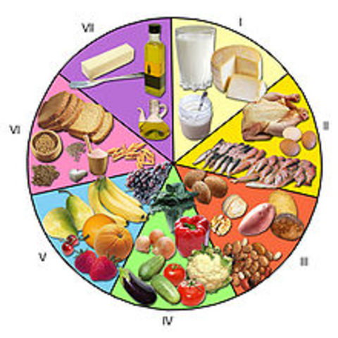 COMPONENTES DE LOS ALIMENTOS