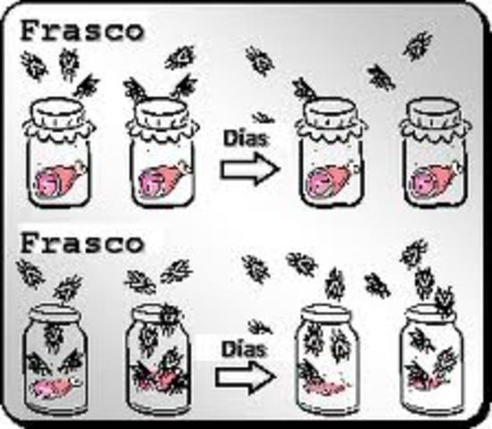 Propuso que el aire transportaba gérmenes al medio de cultivo.