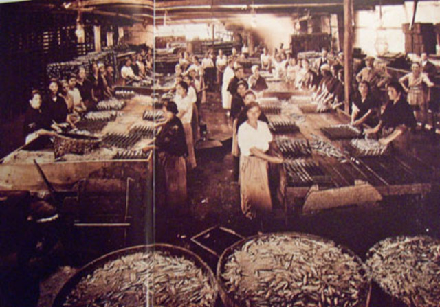 Invento de conservas