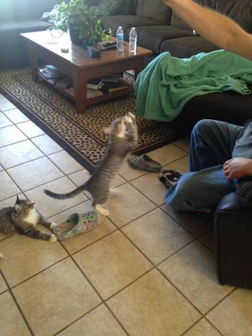 We got Pushka and Oliver!