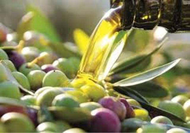 Elaboracion de aceite de olivo