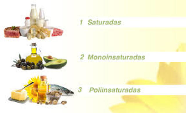 clasificacion de alimentos