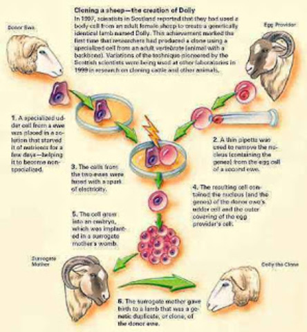 ORIGEN INGENIERÍA CINÉTICA
