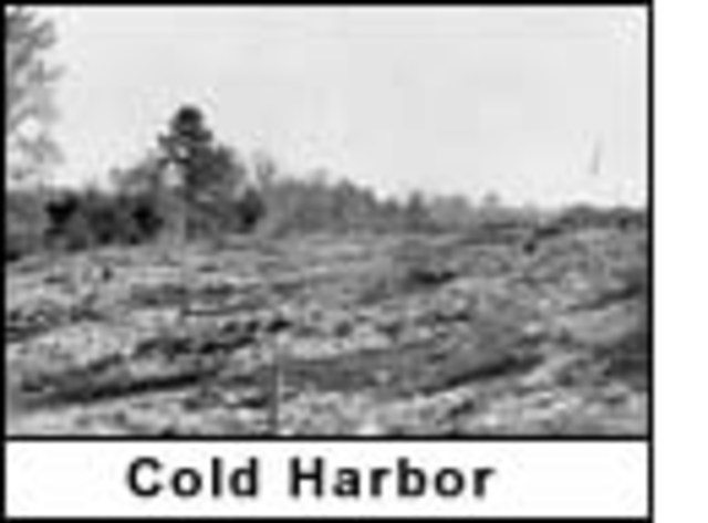 Battle at Cold Harbor