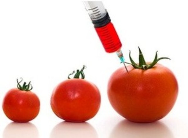 Ingeniería genética