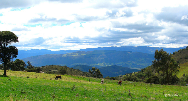 Planteamiento del proyecto = Fallido
