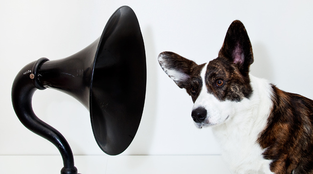 Första högtalaren skapades