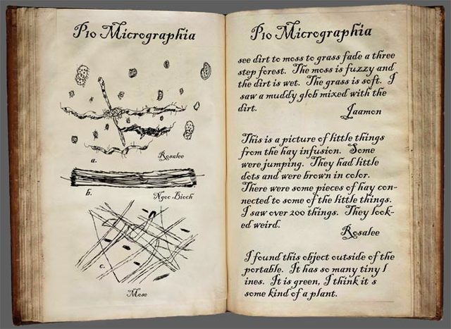 Micrographia