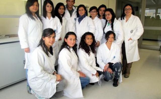 Formación de semilleros de investigación (U. TADEO)