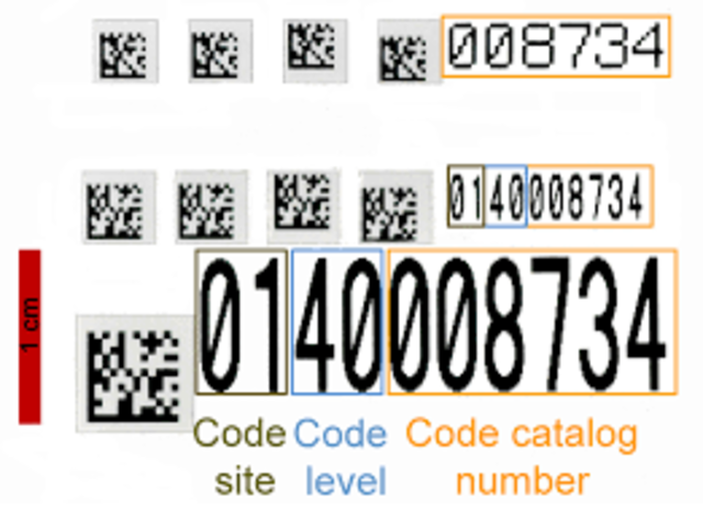 EL PRIMER CODIGO DE CATALOGACION