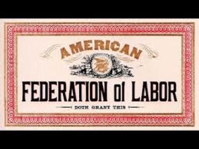 American Fedaration of Labor Founded (Social)