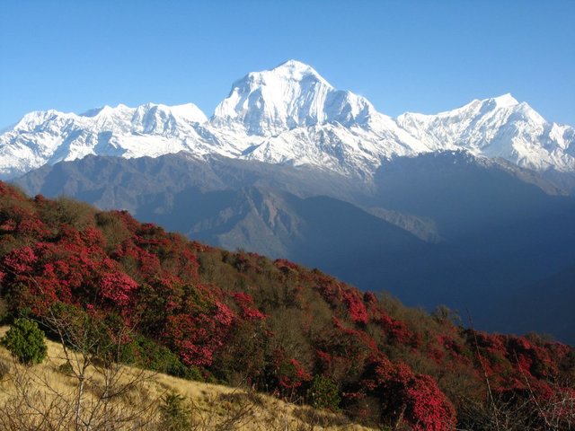 Mark starts climbing his first mountain in Nepal