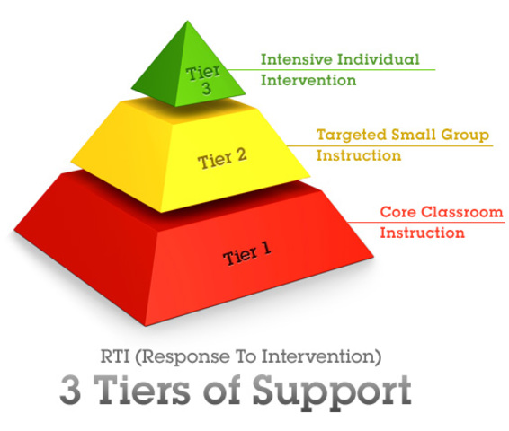 Individuals with Disabilities Education Improvement Act (IDEIA)