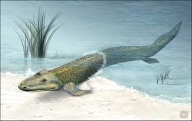 Aparcion de Tiktaalik