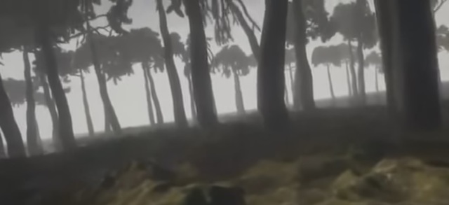 Descomposicion materia