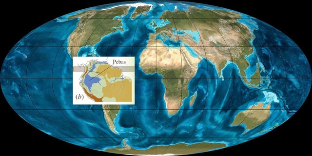 Mioceno (NEÓGENO) 23.03 m.a hasta hace 7.2 m.a