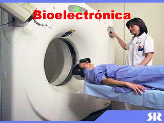 MAESTRIA Y DOCTORADO