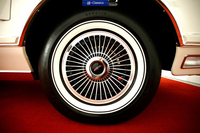 Belgians. Why Congo?