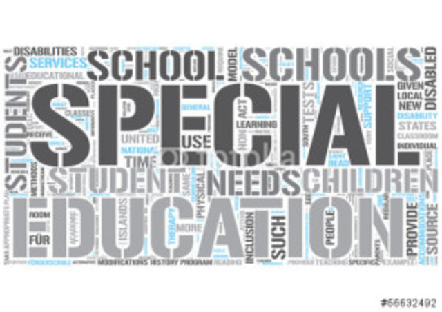 Individuals with Disabilities in Education Act