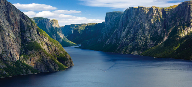 Unsuccessful British Attempt to Establsih Newfoundland Colony