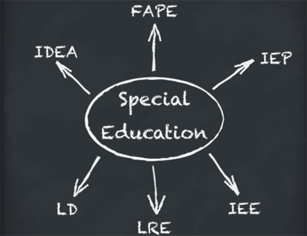 Individuals with Disabilities in Education Act,