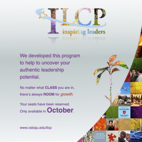 CSB/SJU Internship (8.5)