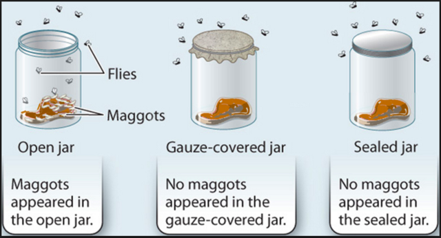 Rejection of Spontaneous Generation
