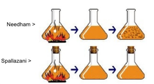 Disproving Needham's Experiment