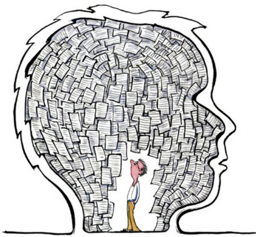 Investigation, Inquiry, and metacognition learning