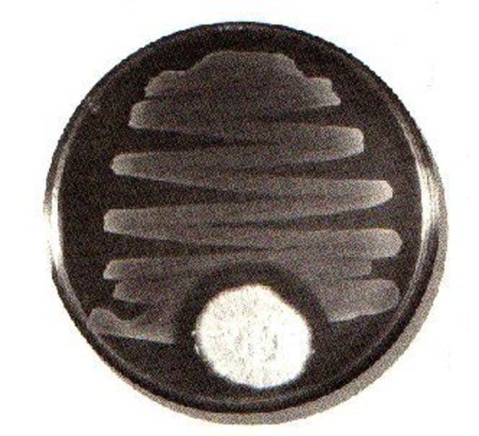 Descubrimiento de la penicilina