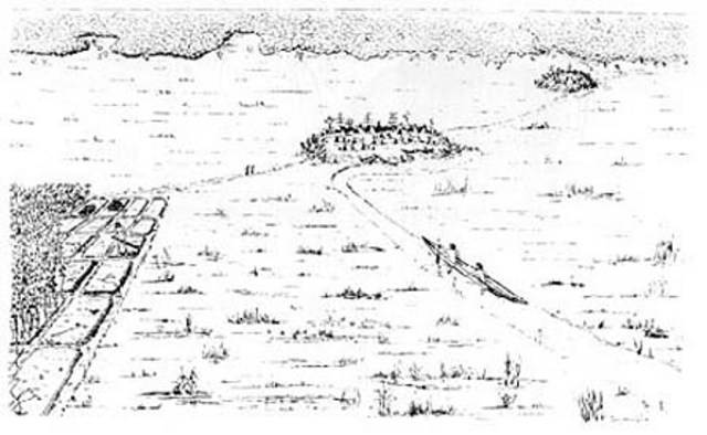 Food supply increase