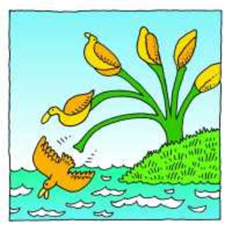 Spontaneous Generation in Christianity