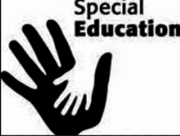 Individuals with Disabilites in Education Act