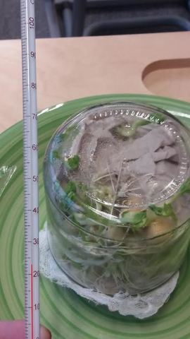 Üheteistkümnes päev